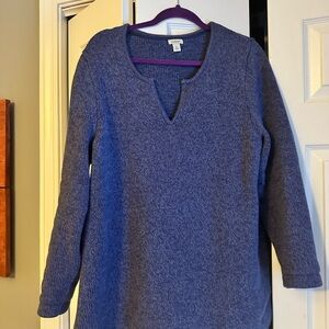 L.L. Bean Purple V-Neck Sweater